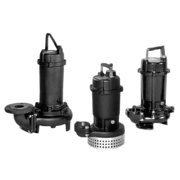 Pompa Ebara D Series